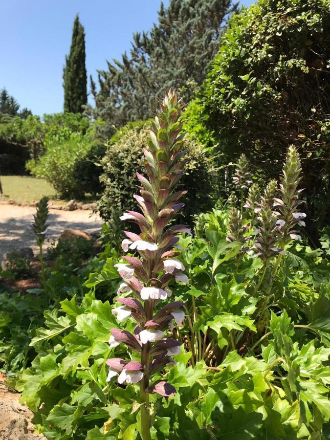 קוטיניאק L' Esmerand מראה חיצוני תמונה